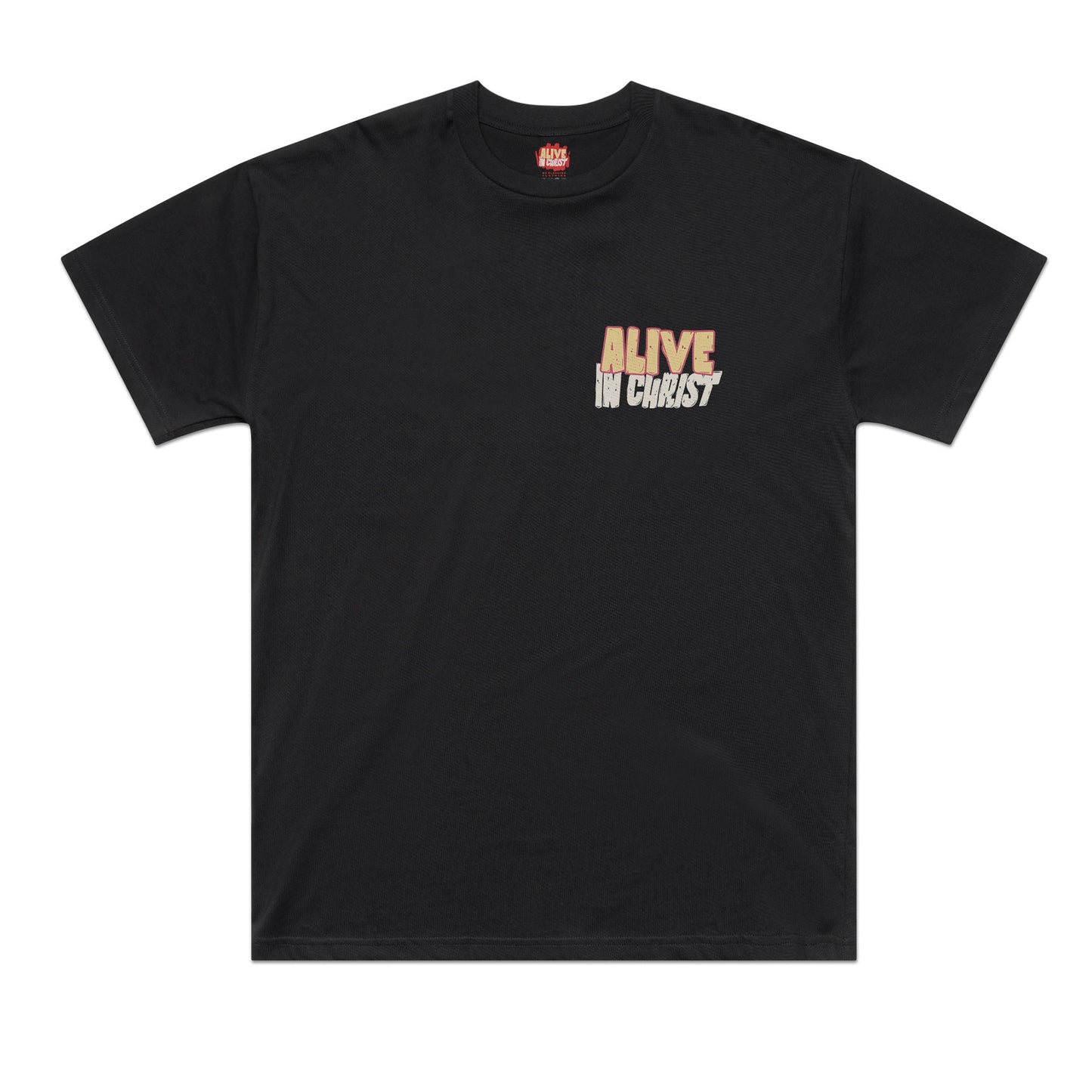 Classic Oversized Alive in Christ